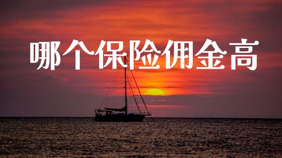 哪个保险佣金高_https://m.jnlaobingbanjia.com_基金市场_第1张