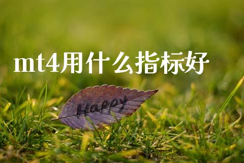 mt4用什么指标好_https://m.jnlaobingbanjia.com_理财规划_第1张