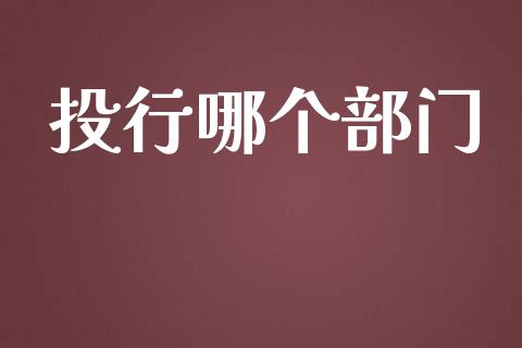 投行哪个部门_https://m.jnlaobingbanjia.com_理财规划_第1张