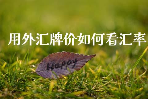 用外汇牌价如何看汇率_https://m.jnlaobingbanjia.com_理财规划_第1张