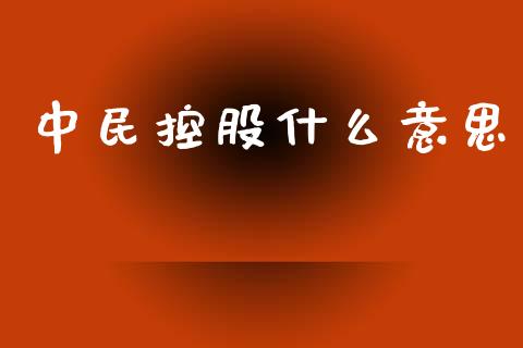 中民控股什么意思_https://m.jnlaobingbanjia.com_基金市场_第1张