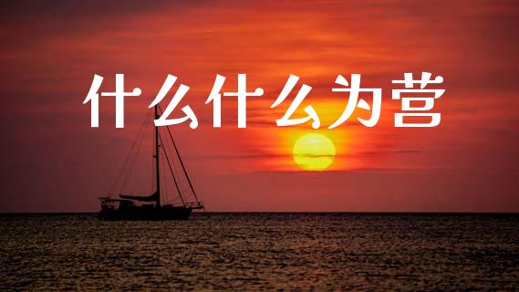 什么什么为营_https://m.jnlaobingbanjia.com_金融监管_第1张
