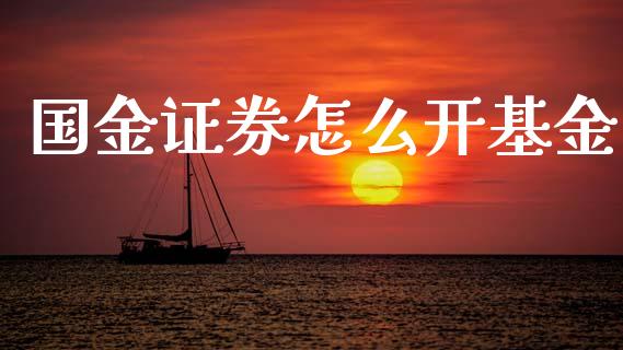 国金证券怎么开基金_https://m.jnlaobingbanjia.com_理财规划_第1张