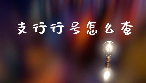 支行行号怎么查_https://m.jnlaobingbanjia.com_基金市场_第1张