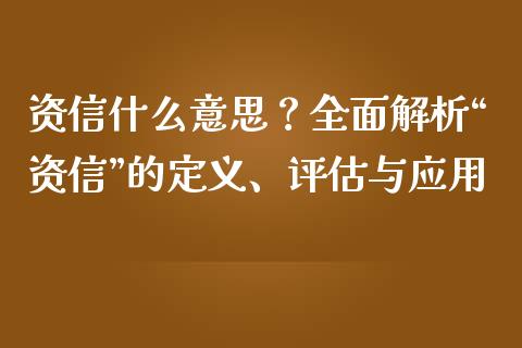 资信什么意思？全面解析“资信”的定义、评估与应用_https://m.jnlaobingbanjia.com_区块链_第1张
