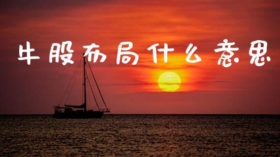 牛股布局什么意思_https://m.jnlaobingbanjia.com_基金市场_第1张