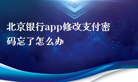 北京银行app修改支付密码忘了怎么办_https://m.jnlaobingbanjia.com_全球市场_第1张