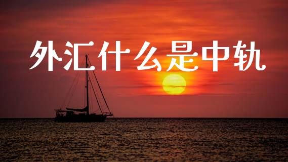 外汇什么是中轨_https://m.jnlaobingbanjia.com_基金市场_第1张