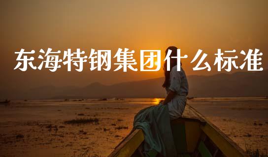 东海特钢集团什么标准_https://m.jnlaobingbanjia.com_股市新闻_第1张
