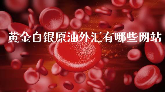 黄金白银原油外汇有哪些网站_https://m.jnlaobingbanjia.com_全球市场_第1张