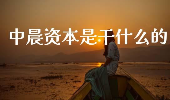 中晨资本是干什么的_https://m.jnlaobingbanjia.com_理财规划_第1张