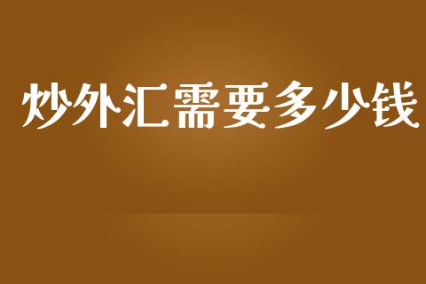 炒外汇需要多少钱_https://m.jnlaobingbanjia.com_股市新闻_第1张