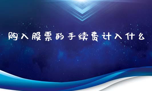 购入股票的手续费计入什么_https://m.jnlaobingbanjia.com_全球市场_第1张