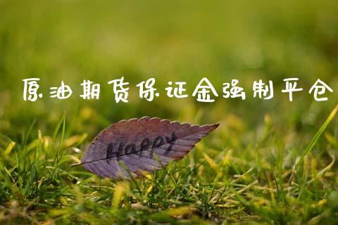 原油期货保证金强制平仓_https://m.jnlaobingbanjia.com_金融监管_第1张