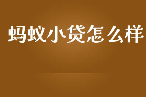 蚂蚁小贷怎么样_https://m.jnlaobingbanjia.com_金融监管_第1张