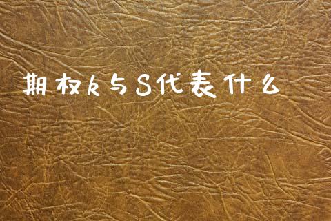 期权k与S代表什么_https://m.jnlaobingbanjia.com_金融监管_第1张