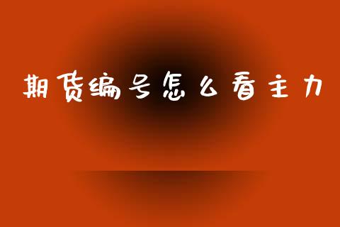 期货编号怎么看主力_https://m.jnlaobingbanjia.com_全球市场_第1张