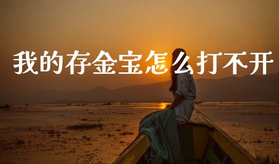 我的存金宝怎么打不开_https://m.jnlaobingbanjia.com_基金市场_第1张