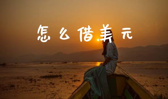怎么借美元_https://m.jnlaobingbanjia.com_股市新闻_第1张