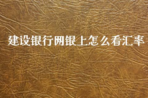 建设银行网银上怎么看汇率_https://m.jnlaobingbanjia.com_股市新闻_第1张