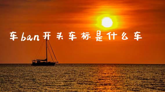 车ban开头车标是什么车_https://m.jnlaobingbanjia.com_理财规划_第1张