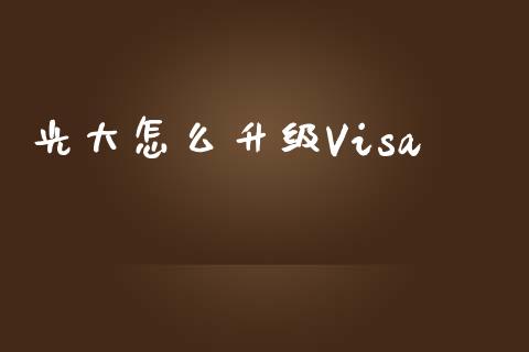 光大怎么升级Visa_https://m.jnlaobingbanjia.com_全球市场_第1张