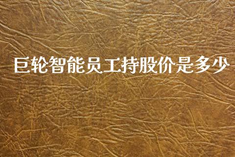 巨轮智能员工持股价是多少_https://m.jnlaobingbanjia.com_基金市场_第1张