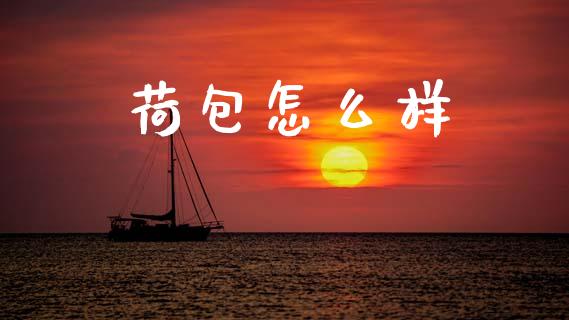 荷包怎么样_https://m.jnlaobingbanjia.com_基金市场_第1张