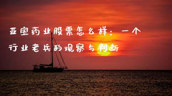 亚宝药业股票怎么样：一个行业老兵的观察与判断_https://m.jnlaobingbanjia.com_基金市场_第1张