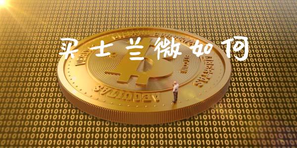 买士兰微如何_https://m.jnlaobingbanjia.com_全球市场_第1张