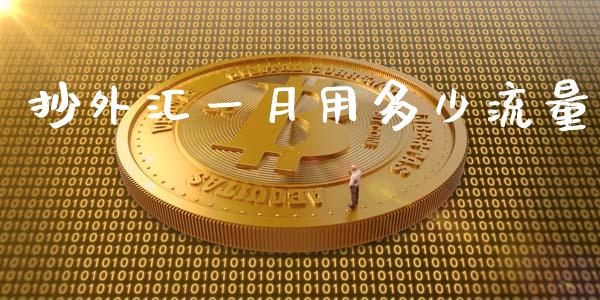 抄外汇一月用多少流量_https://m.jnlaobingbanjia.com_金融监管_第1张