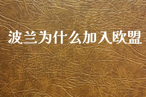 波兰为什么加入欧盟_https://m.jnlaobingbanjia.com_金融监管_第1张