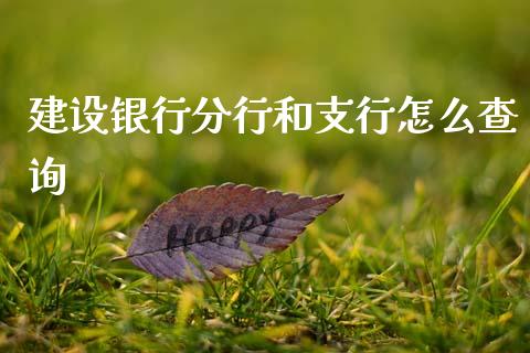 建设银行分行和支行怎么查询_https://m.jnlaobingbanjia.com_金融监管_第1张