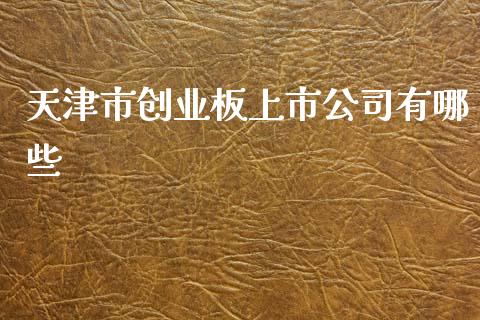 天津市创业板上市公司有哪些_https://m.jnlaobingbanjia.com_基金市场_第1张