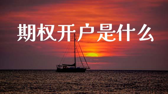 期权开户是什么_https://m.jnlaobingbanjia.com_理财规划_第1张