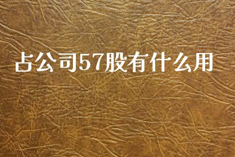 占公司57股有什么用_https://m.jnlaobingbanjia.com_基金市场_第1张