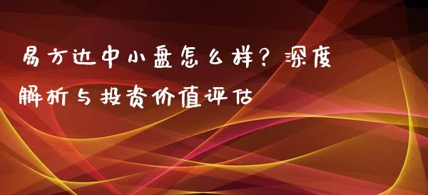 易方达中小盘怎么样？深度解析与投资价值评估_https://m.jnlaobingbanjia.com_区块链_第1张