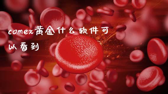 comex黄金什么软件可以看到_https://m.jnlaobingbanjia.com_全球市场_第1张