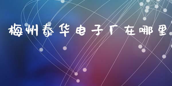 梅州泰华电子厂在哪里_https://m.jnlaobingbanjia.com_理财规划_第1张