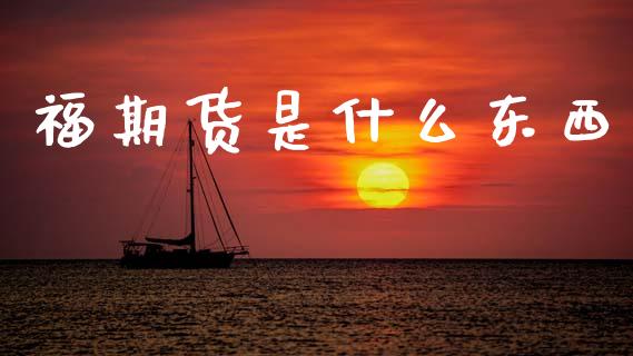 福期货是什么东西_https://m.jnlaobingbanjia.com_基金市场_第1张