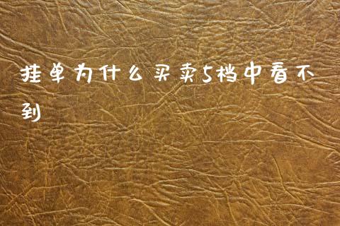 挂单为什么买卖5档中看不到_https://m.jnlaobingbanjia.com_股市新闻_第1张
