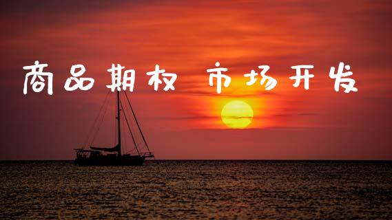 商品期权 市场开发_https://m.jnlaobingbanjia.com_理财规划_第1张