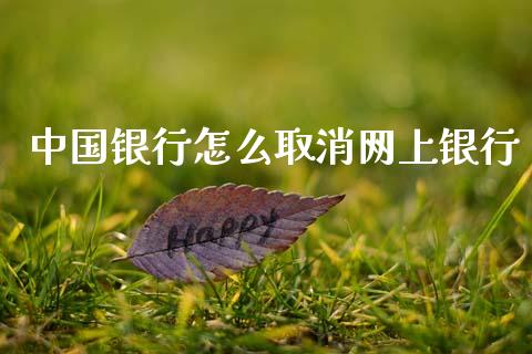 中国银行怎么取消网上银行_https://m.jnlaobingbanjia.com_全球市场_第1张