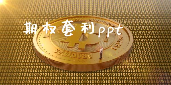 期权套利ppt_https://m.jnlaobingbanjia.com_金融监管_第1张