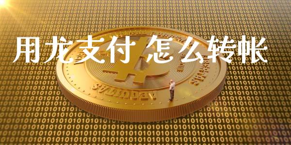 用龙支付 怎么转帐_https://m.jnlaobingbanjia.com_区块链_第1张