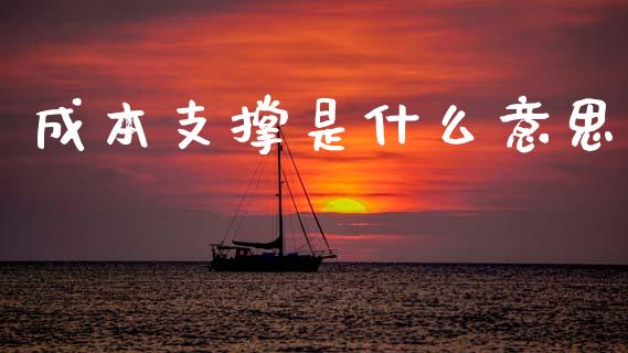 成本支撑是什么意思_https://m.jnlaobingbanjia.com_区块链_第1张