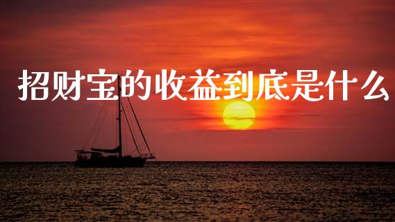 招财宝的收益到底是什么_https://m.jnlaobingbanjia.com_理财规划_第1张