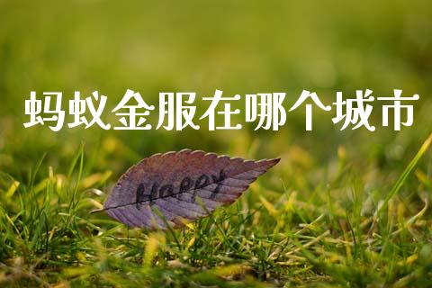 蚂蚁金服在哪个城市_https://m.jnlaobingbanjia.com_金融监管_第1张
