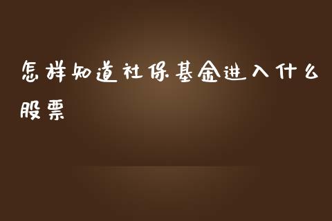 怎样知道社保基金进入什么股票_https://m.jnlaobingbanjia.com_金融监管_第1张