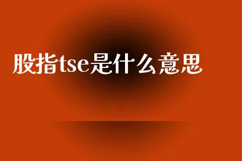 股指tse是什么意思_https://m.jnlaobingbanjia.com_基金市场_第1张